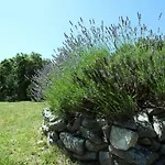 Breg Labin (Istria)