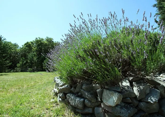 Breg Labin (Istria)